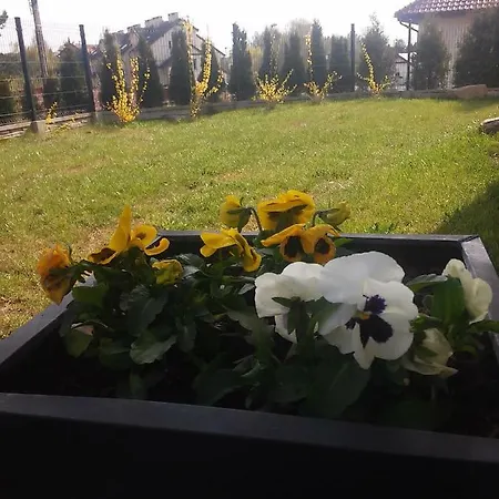 Apartament Cicha Przystan * 올슈틴